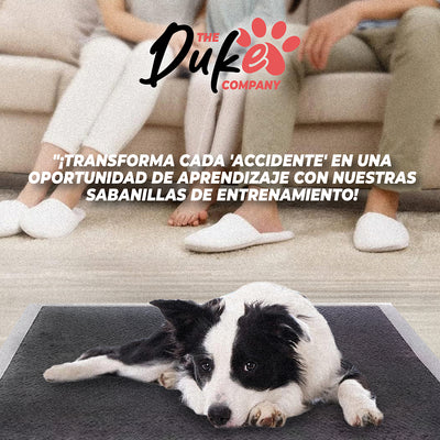 Sabanillas Para Perro Carbon 60x60 Duke 6 Capas Aromaticas 40U Pad
