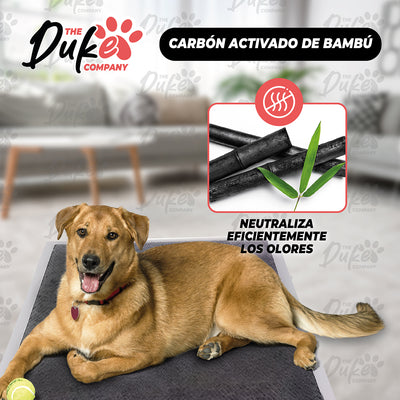 Sabanillas de Perro Carbon 60x90 Duke 6 Capas Aromaticas 40U
