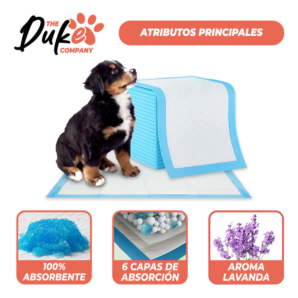 Atributos principales sabanilla Duke 100% absorbente 6 capas aroma lavanda