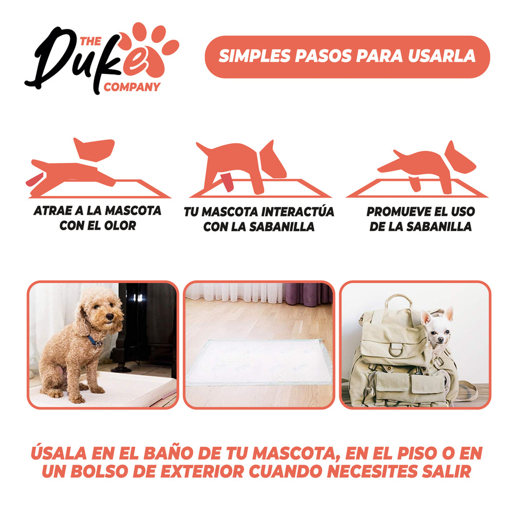 Pasos para usar sabanilla Duke entrenamiento mascota