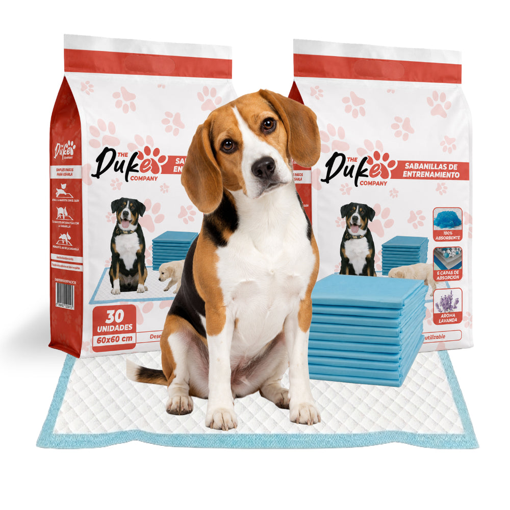 Sabanillas entrenamiento Duke 60x60 cm pack 60 unidades desechable