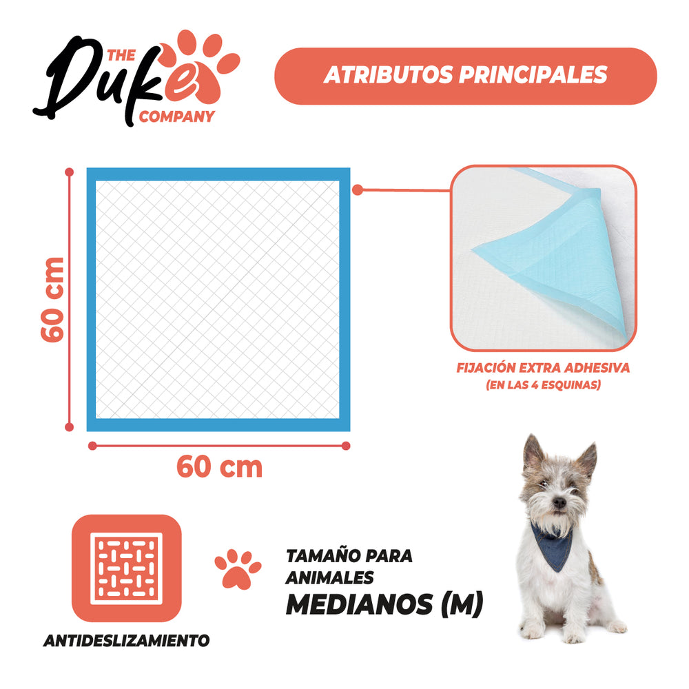 Sabanillas entrenamiento Duke 60x60 cm pack 60 unidades desechable
