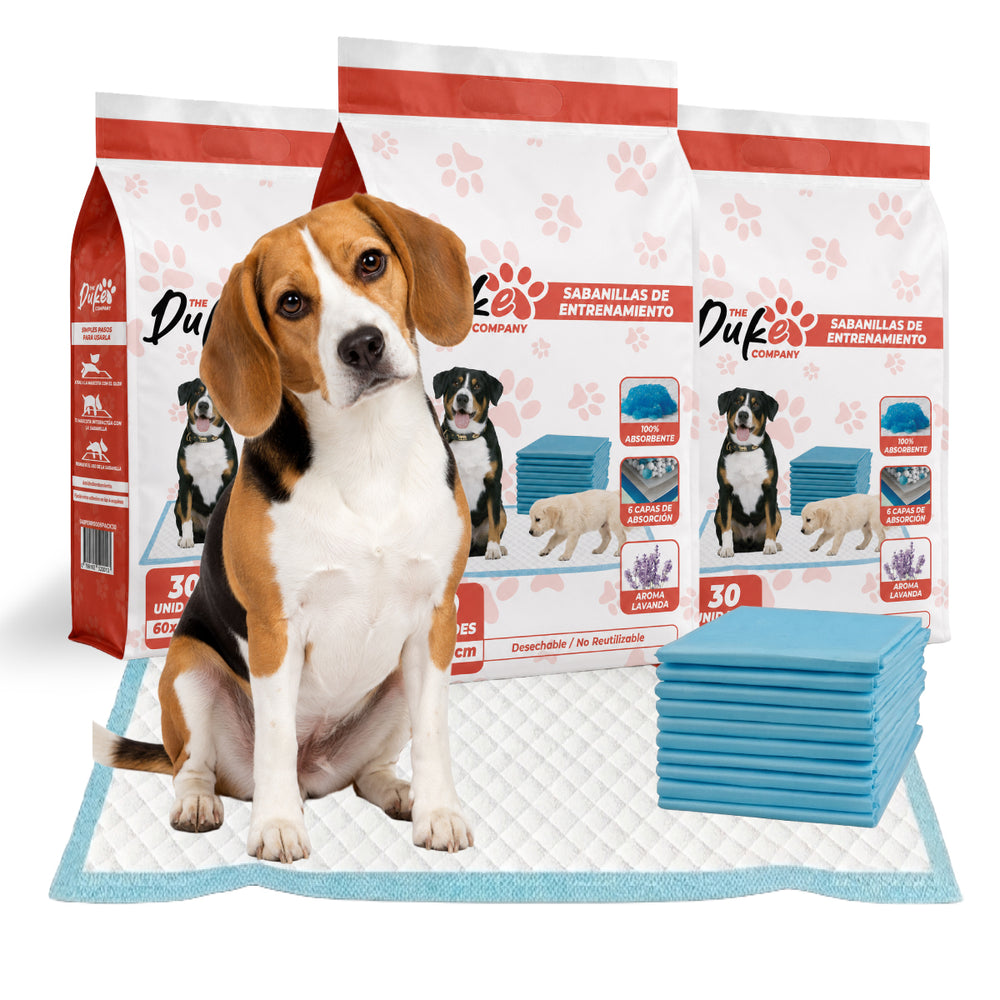 Sabanillas entrenamiento Duke 60x60 cm pack 90 unidades desechable