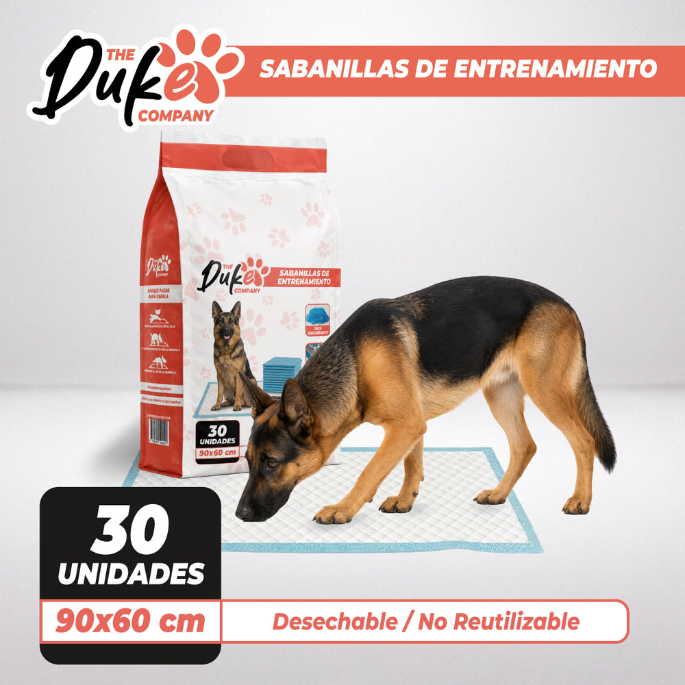 Duke Training Pad 90x60 perro usando sabanilla