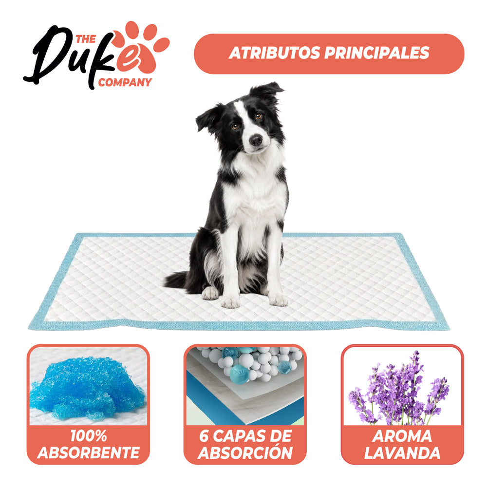 Duke Training Pad atributos 100% absorbente 6 capas lavanda