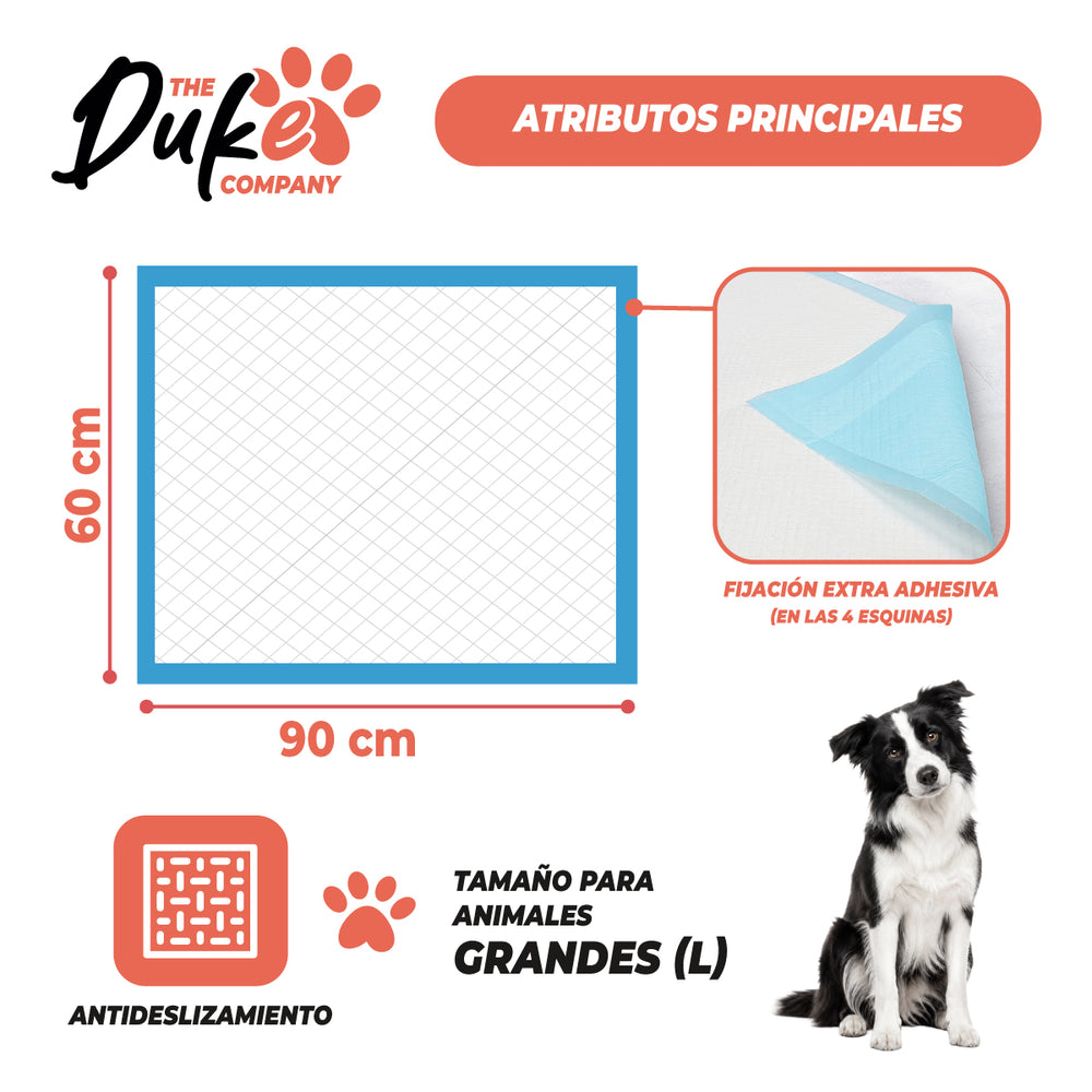 Duke Training Pad 90x60 cm talla L animales grandes