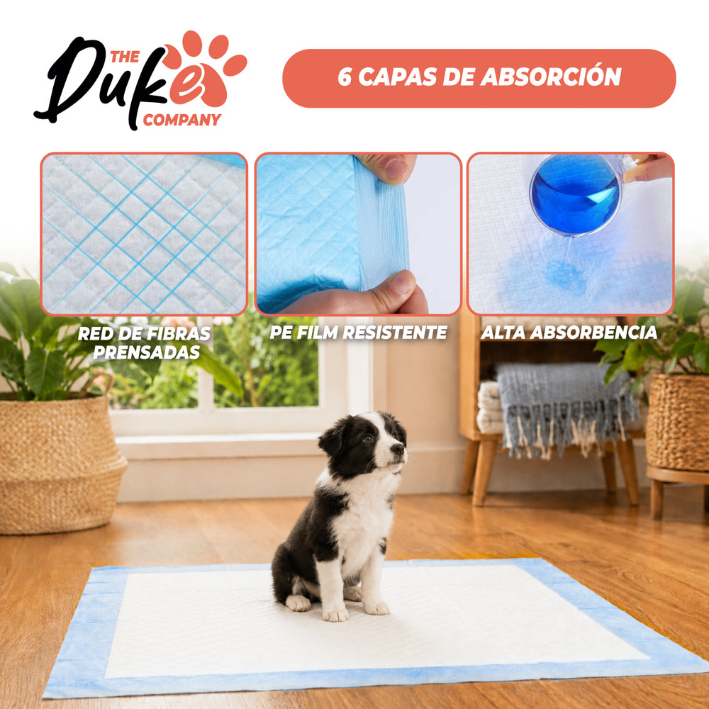Duke Training Pad capas fibras prensadas PE film