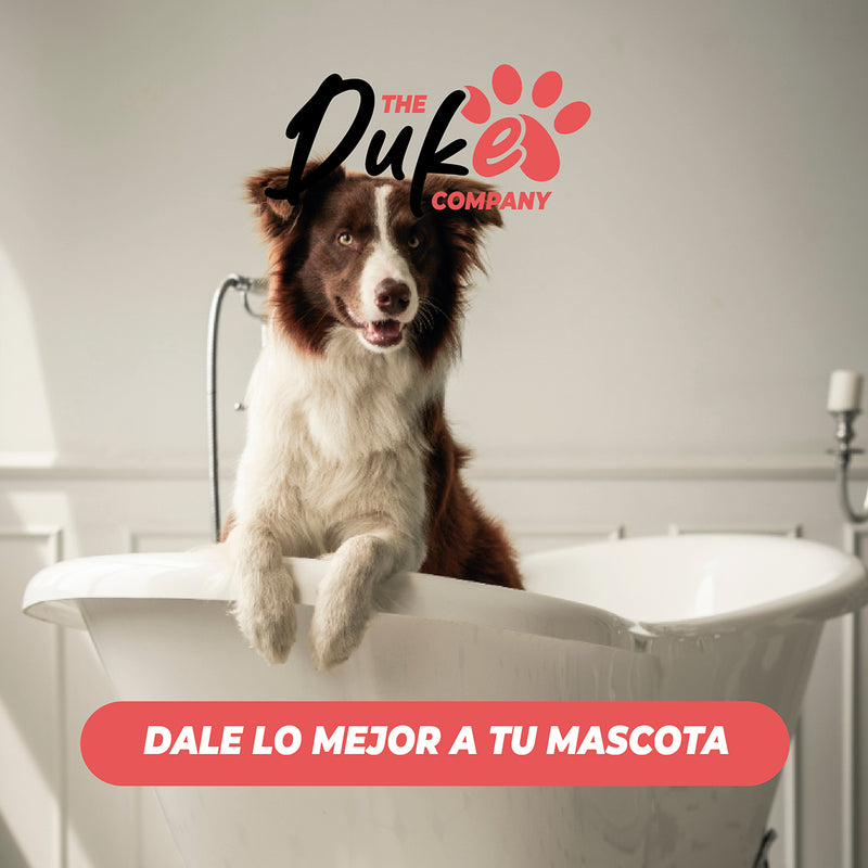 Toalla Microfibra Para Mascotas Duke 101 X 60 Cm Gris