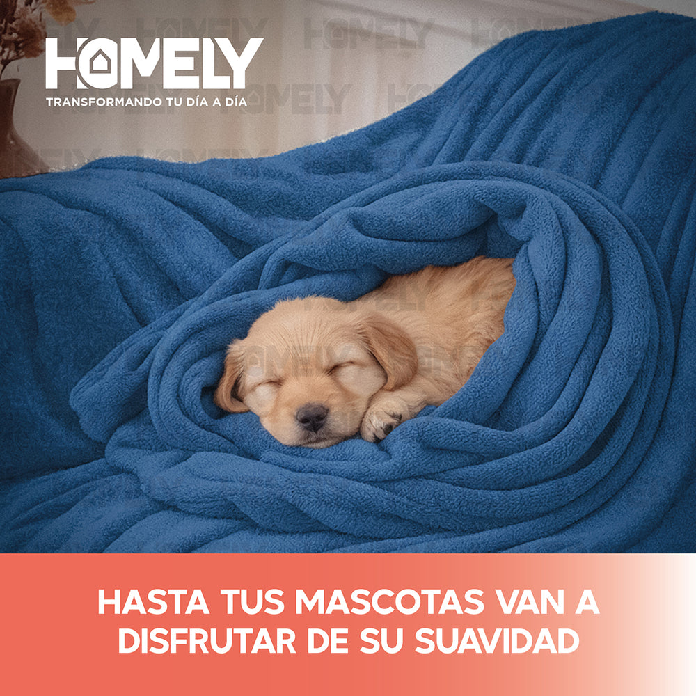 Frazada Polar Termica Queen Homely Manta 220x220cm 300gsm