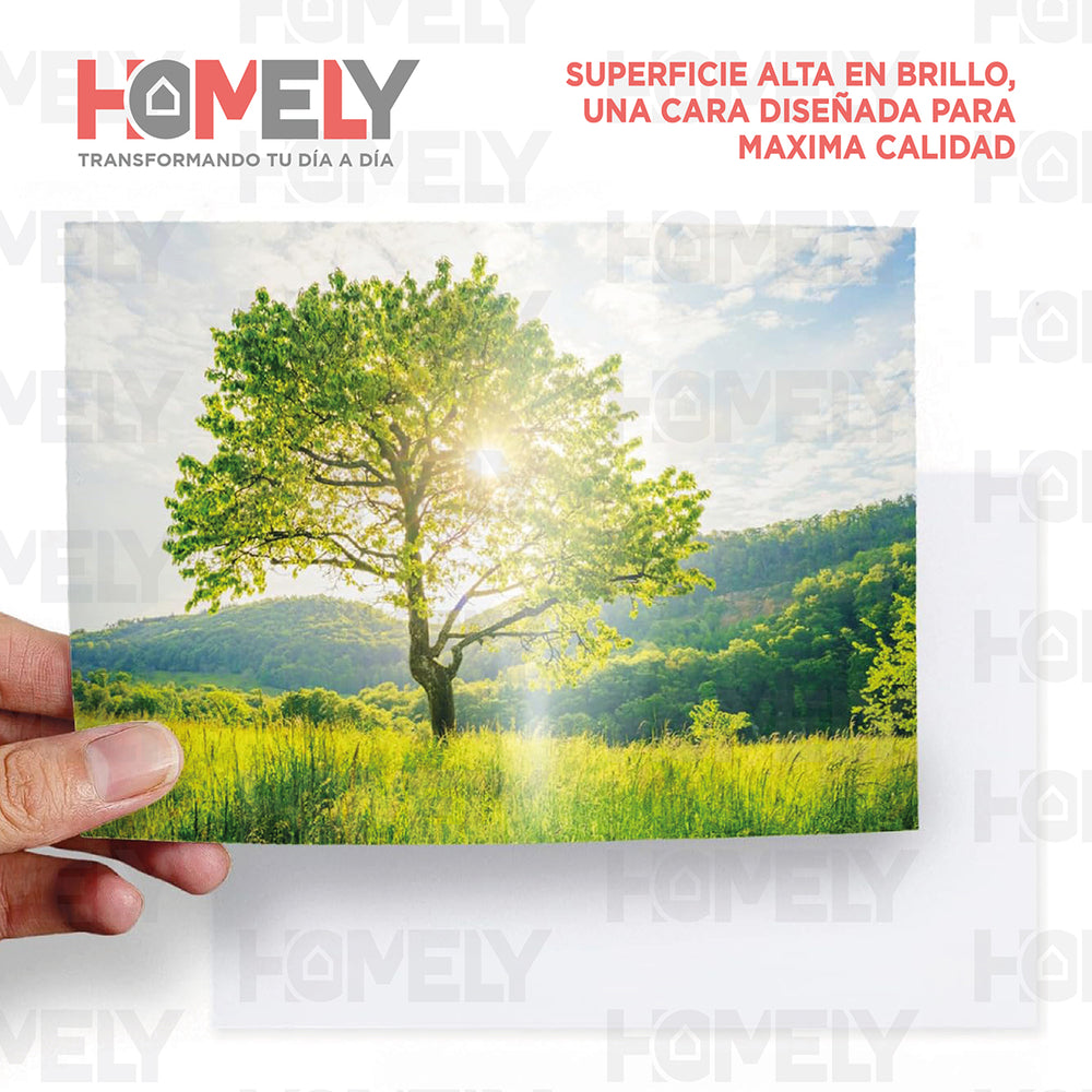 Papel Fotografico Glossy 4r 230 Gramos Homely 100 Hojas Blanco