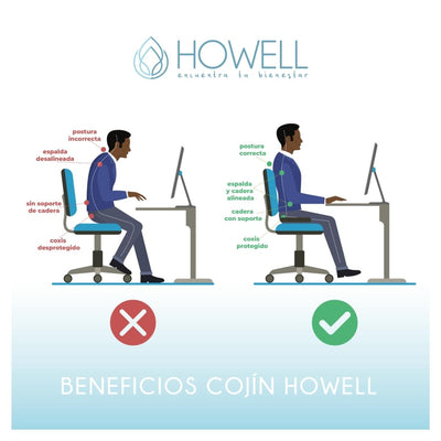 Cojin Ortopedico De Asiento Howell