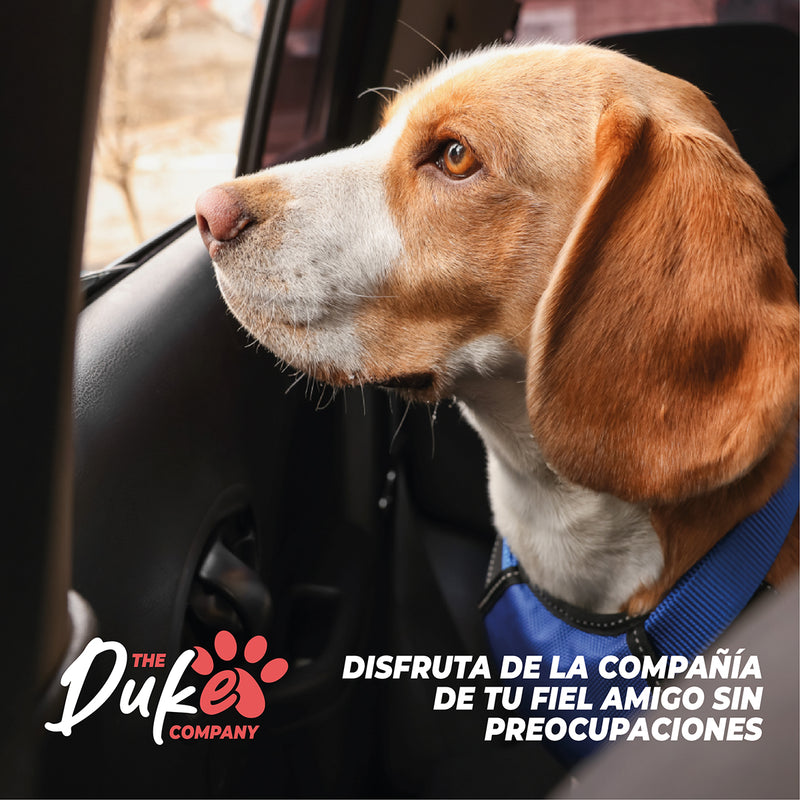 Asiento Para Mascotas Auto Duke Reforzado